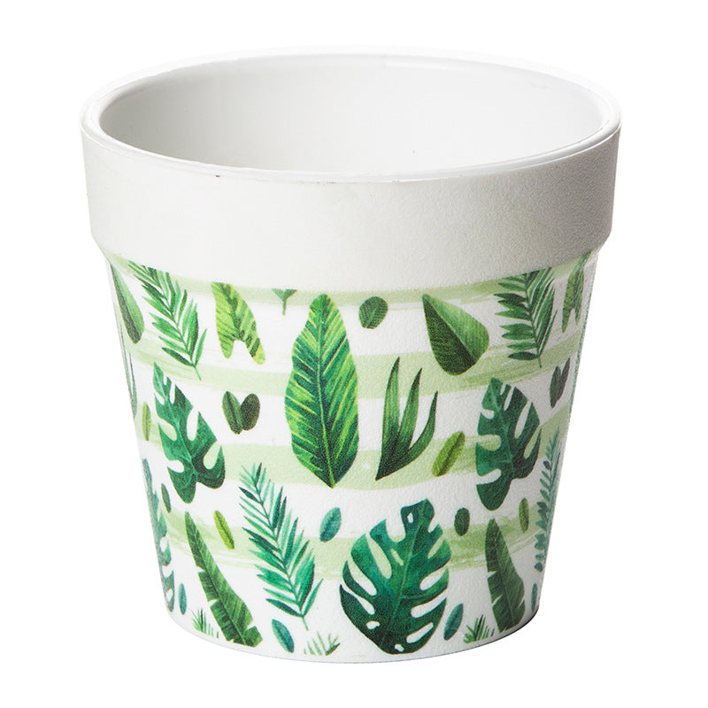 Decorative Succulent Planter Homeandso