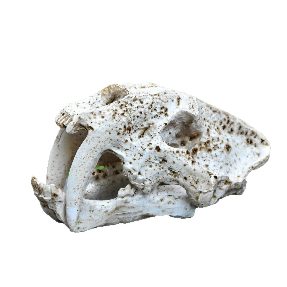 Decorative Animal Skull Figurine Homeandso