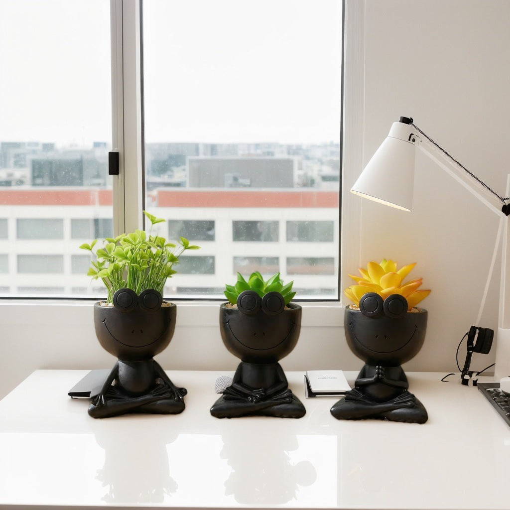 Decorative Planter Pot for Plant Display