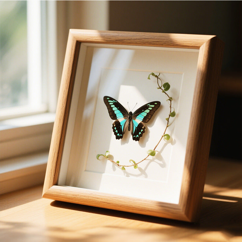 Butterfly Art