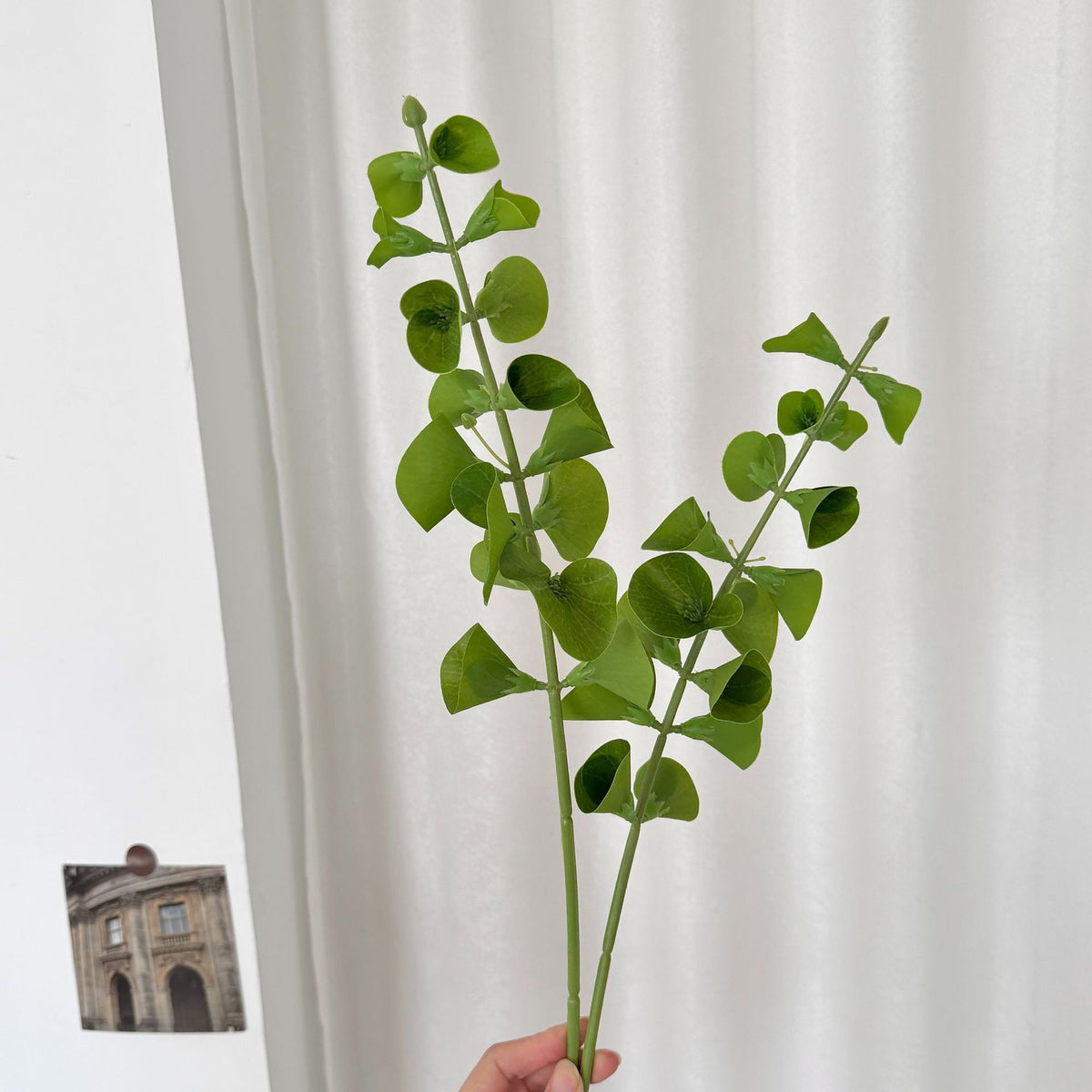 Decorative Artificial Plant