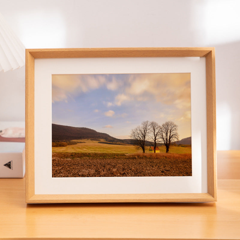 Decorative Framed Art