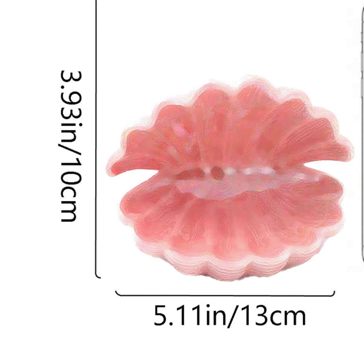 Elegant Shell-Shaped Dish Homeandso