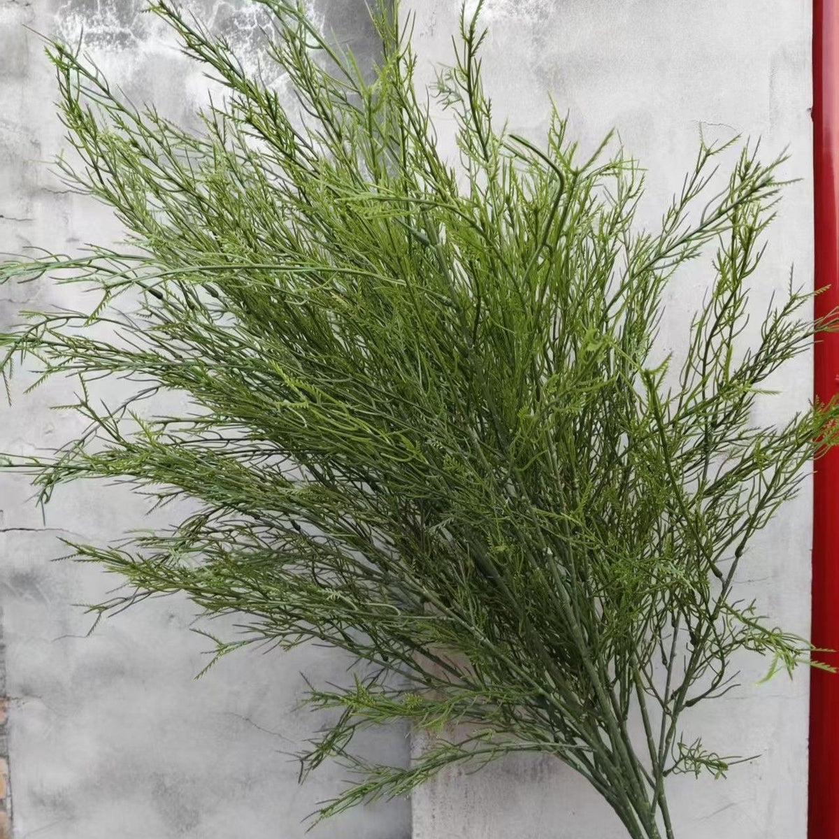 Decorative Dried Greenery Stem for Home Display