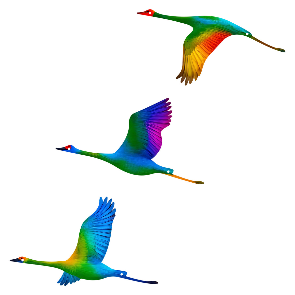 Colorful Bird Wall Art Homeandso