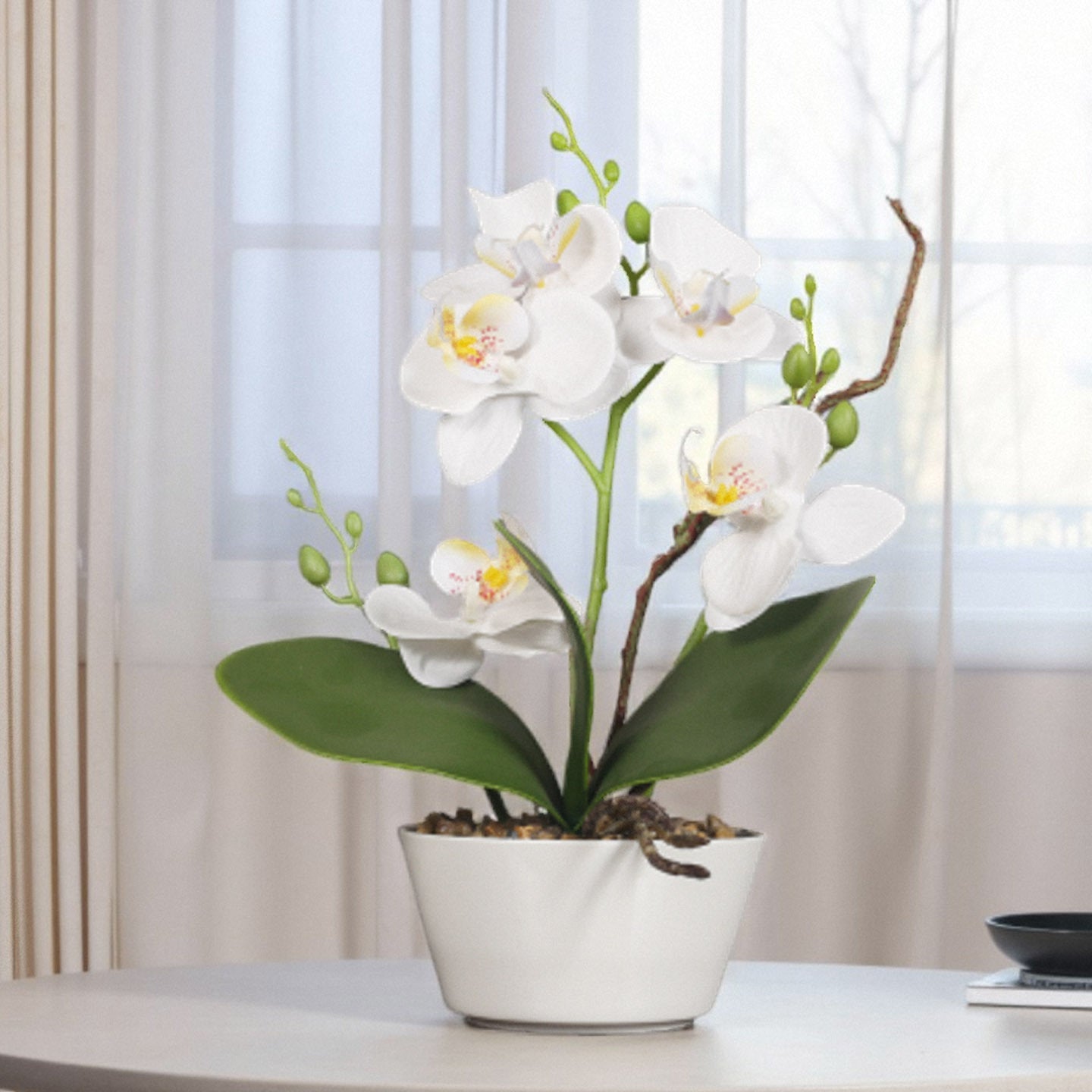 Artificial Orchid Homeandso