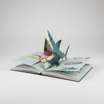 3D Pop-up Book Dinosaur