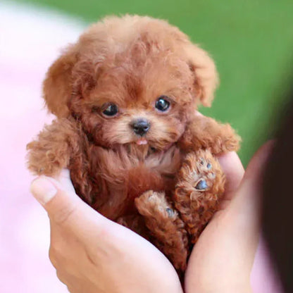 Interactive plush dog with realistic movements – For children & seniors