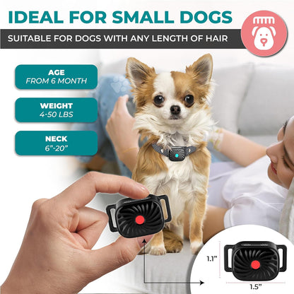Antibell-Collar for small dogs