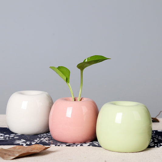 Artistic Ceramic Apple-Shaped Planter