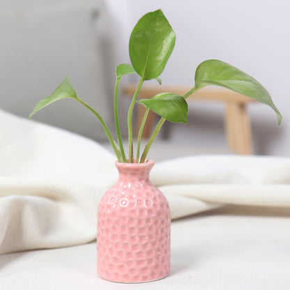 Artistic Ceramic Miniature Vases