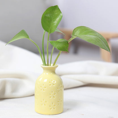 Artistic Ceramic Miniature Vases