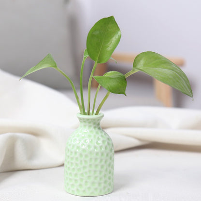 Artistic Ceramic Miniature Vases