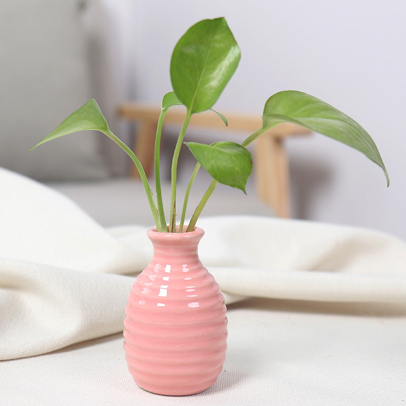 Artistic Ceramic Miniature Vases
