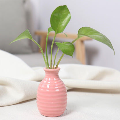 Artistic Ceramic Miniature Vases