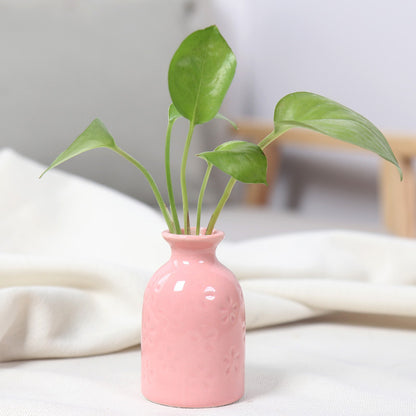Artistic Ceramic Miniature Vases