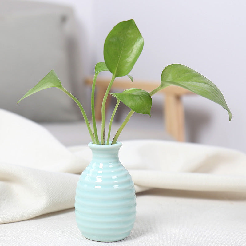 Artistic Ceramic Miniature Vases