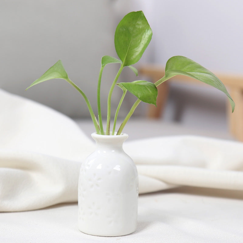 Artistic Ceramic Miniature Vases