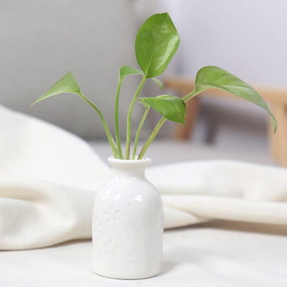 Artistic Ceramic Miniature Vases