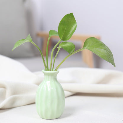 Artistic Ceramic Miniature Vases