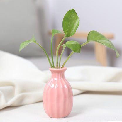 Artistic Ceramic Miniature Vases