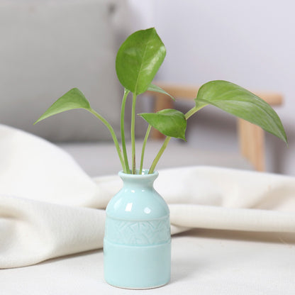 Artistic Ceramic Miniature Vases
