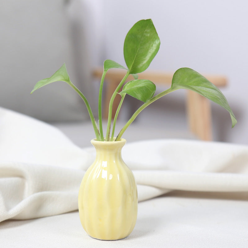 Artistic Ceramic Miniature Vases