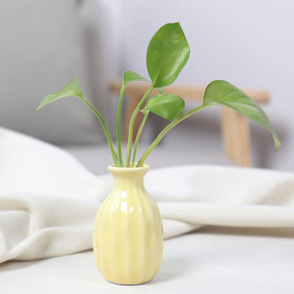 Artistic Ceramic Miniature Vases