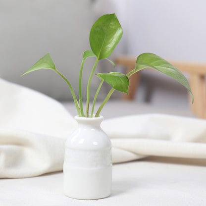 Artistic Ceramic Miniature Vases
