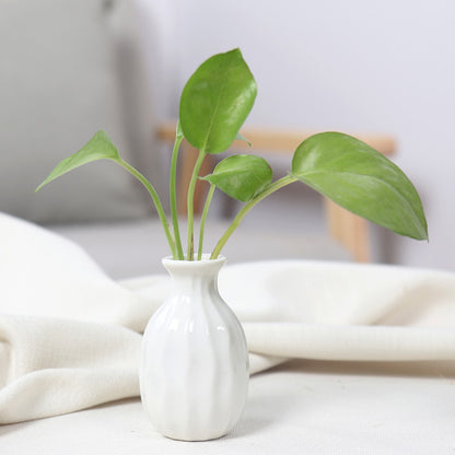 Artistic Ceramic Miniature Vases