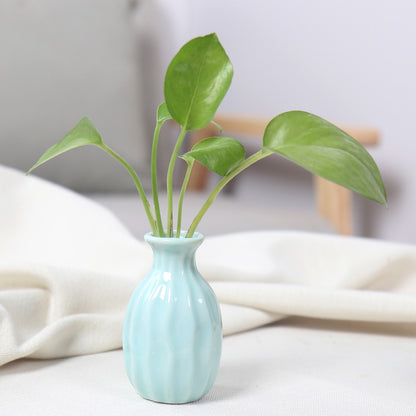 Artistic Ceramic Miniature Vases