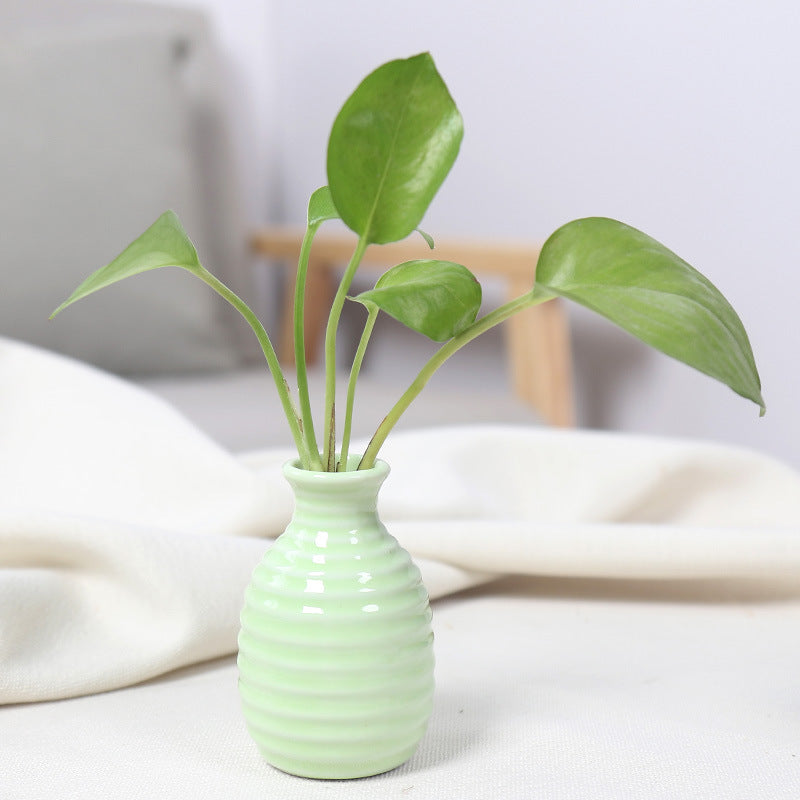 Artistic Ceramic Miniature Vases