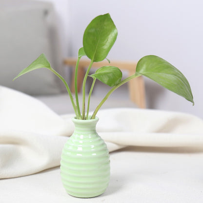 Artistic Ceramic Miniature Vases