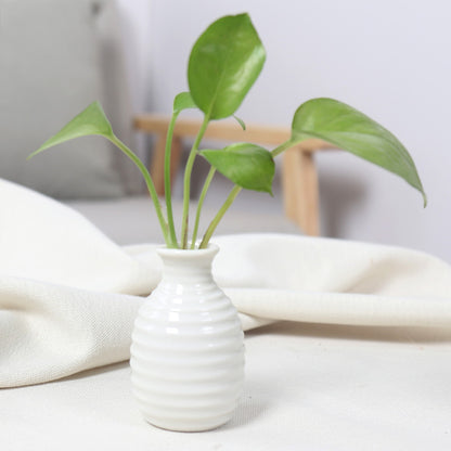 Artistic Ceramic Miniature Vases