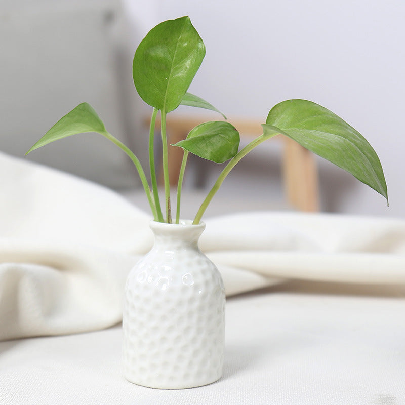 Artistic Ceramic Miniature Vases