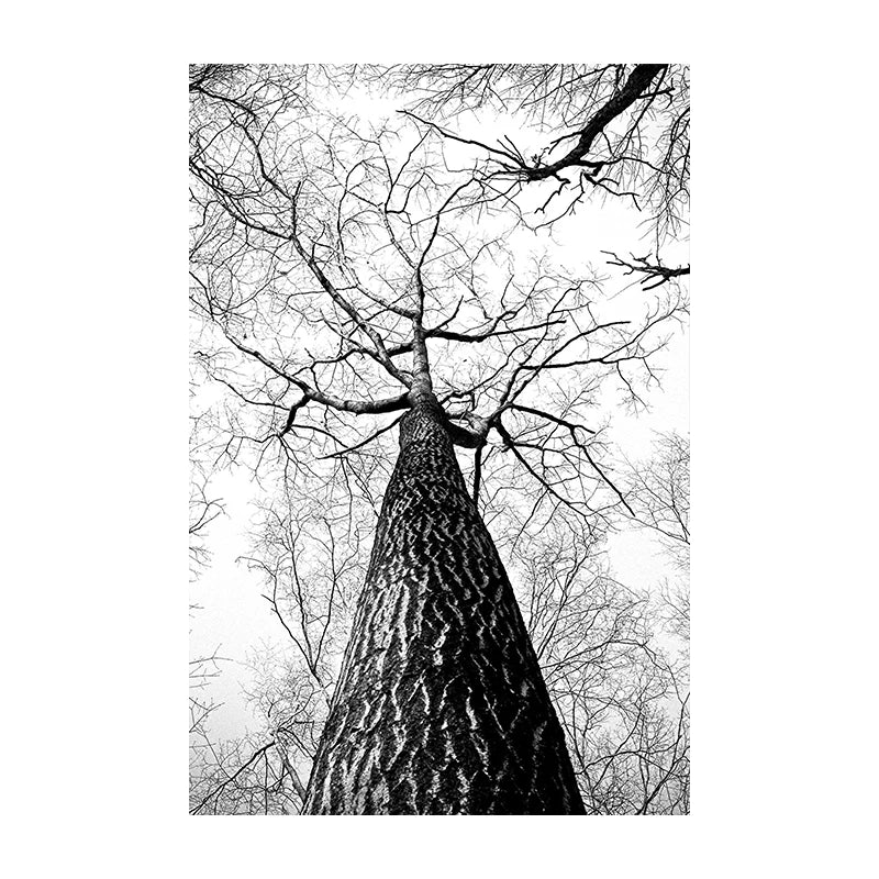 Black & White Wilderness Deer Eagle Landscape Canvas Wall Art Decor