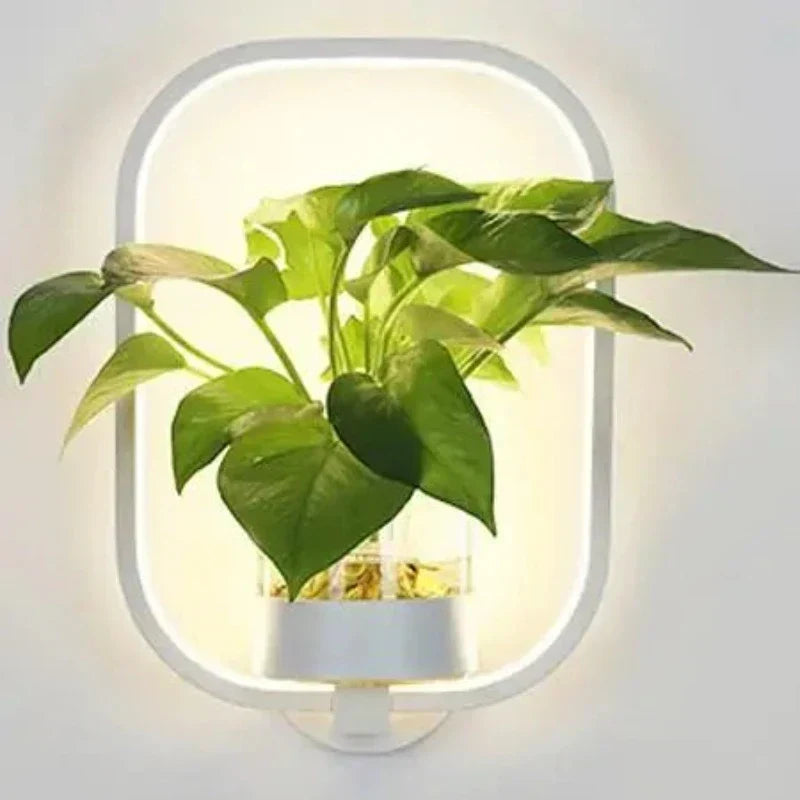 LED Wall Light with Integrated Plants – Designer Wall Lights for Interiors