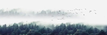 Mountain Lakes Forest Wilderness Canvas Wall Art for Living Room Decor
