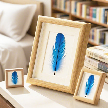 Artistic Feather Frame