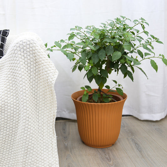 Textured Plastic Plant Pot Homeandso