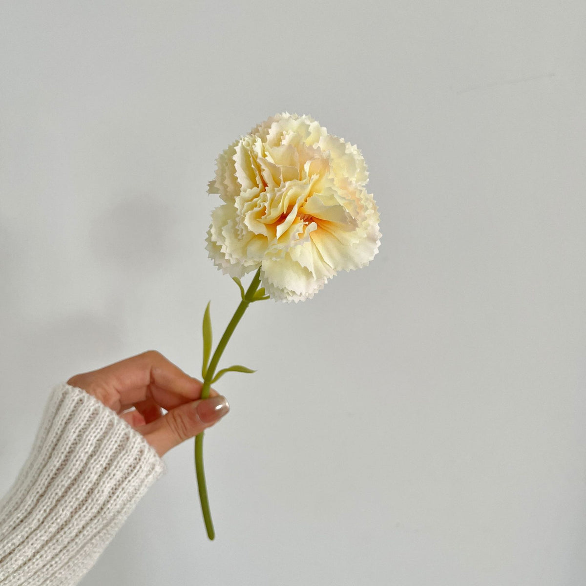 Realistic Carnation Flower Stem