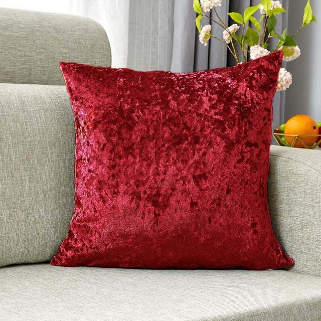 Plush Velvet Decorative Cushion