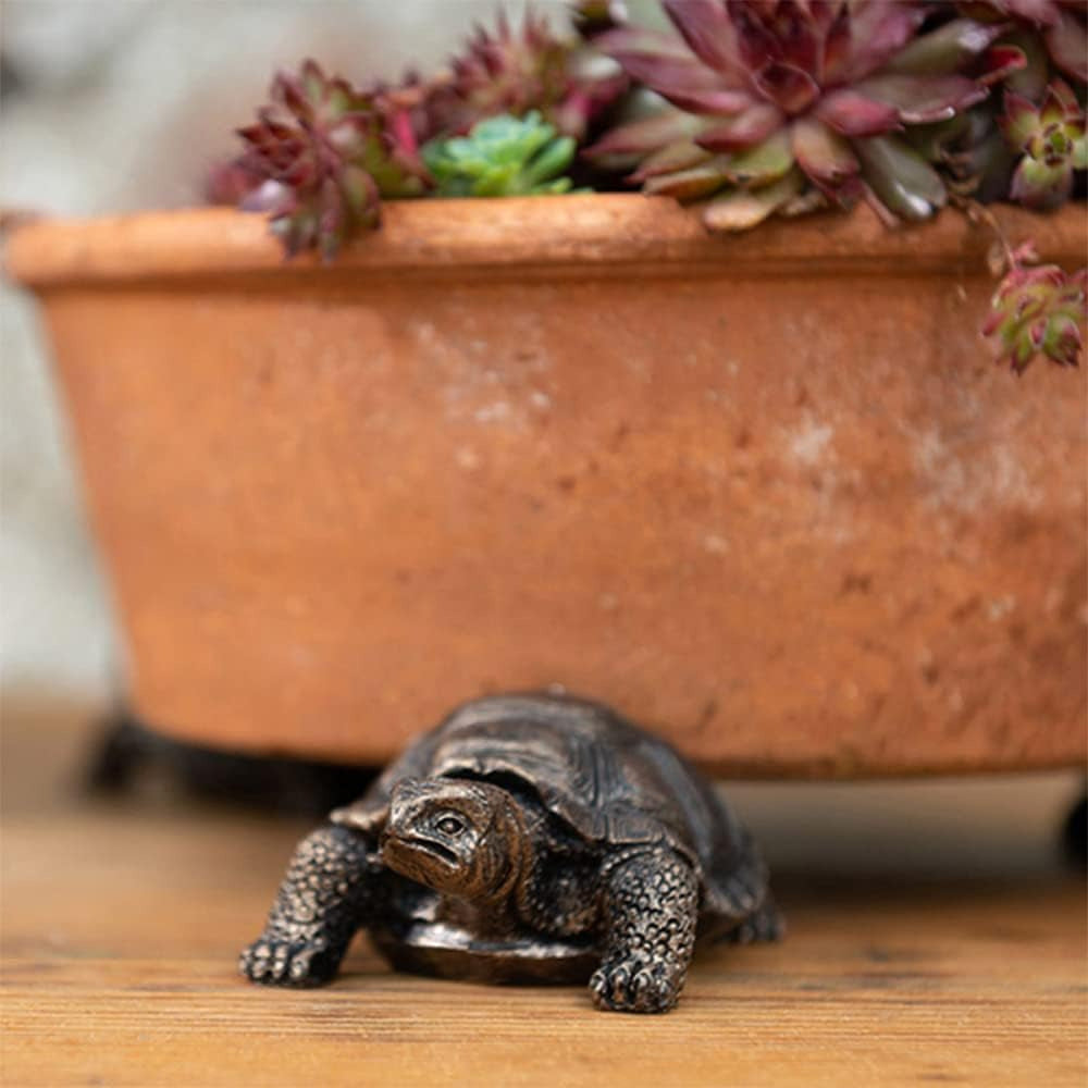 Turtle Figurine Set Homeandso