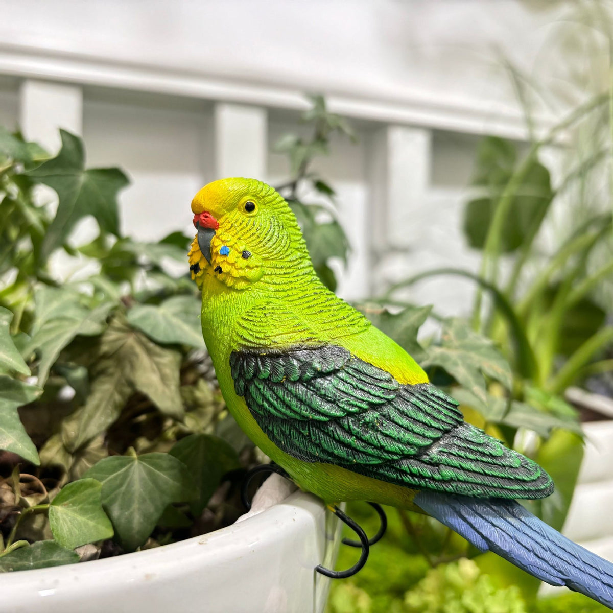 Decorative Parakeet Bird Figurine Homeandso
