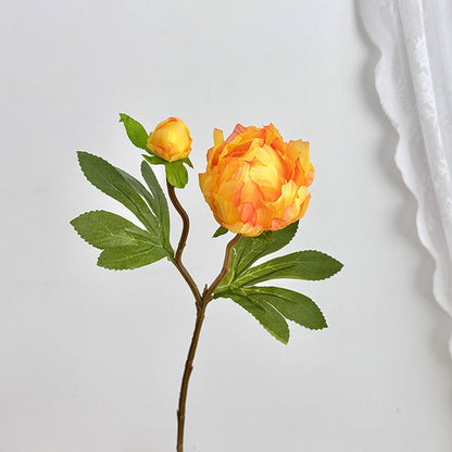 Realistic Peony Decoration Stem for Home Floral Display