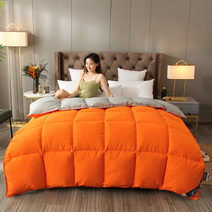 Cozy Comforter Homeandso