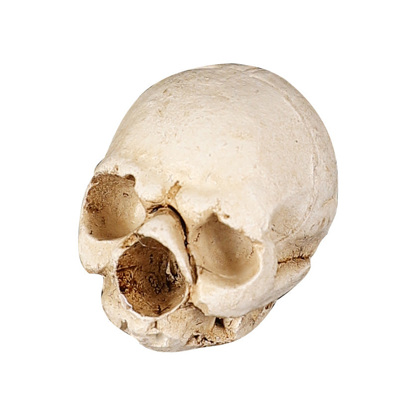 Decorative Skull Figurine Homeandso