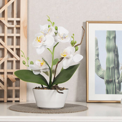 Artificial Orchid Homeandso