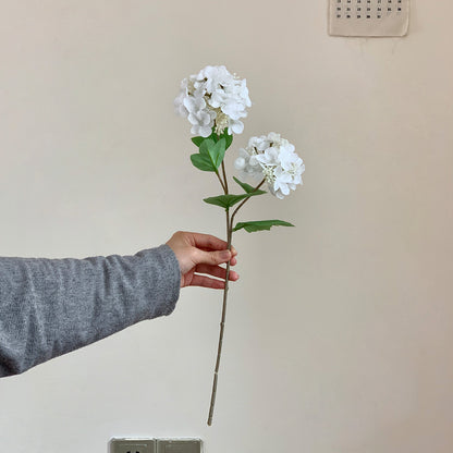 Realistic Hydrangea Stem