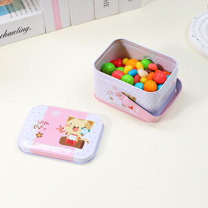 Cute Decorative Snack Storage Tin Homeandso